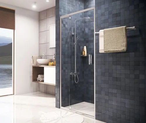 Душевая дверь, WasserKRAFT, Berkel 48P05, распашная, универсальная 1200x2000 мм в интернет-магазине Sumom.kz