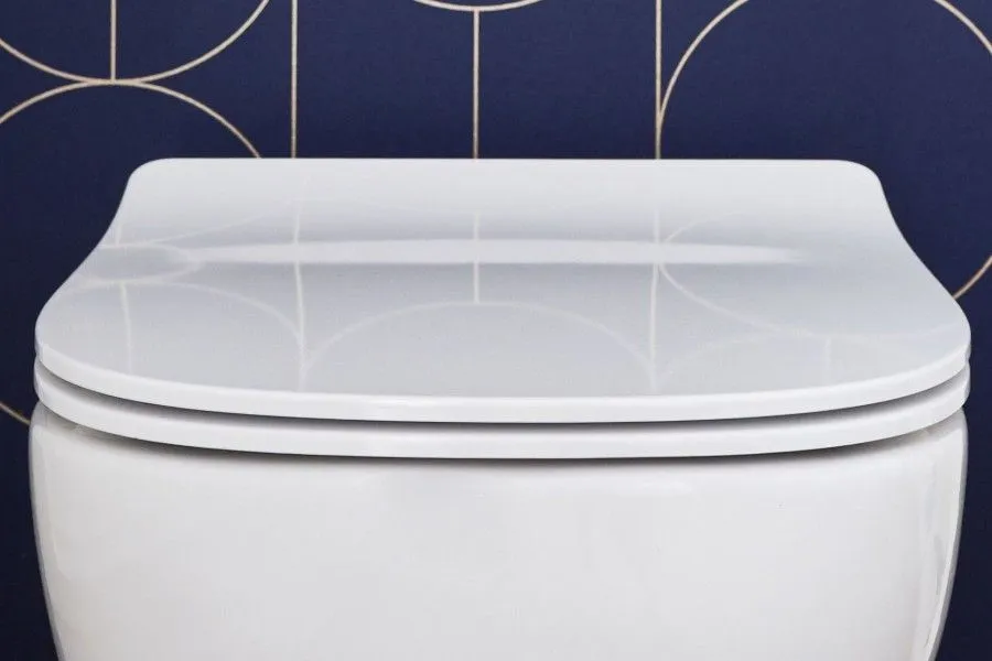 Крышка-сиденье для унитаза Jacob Delafon Struktura E20606-WTE в интернет-магазине Sumom.kz